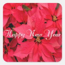 Red Poinsettias Flowers Floral Happy Nieuwjaar