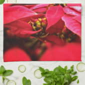 Red Poinsettias Flowers Theedoek (Gevouwen)