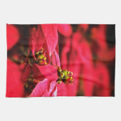 Red Poinsettias Flowers Theedoek (Horizontaal)