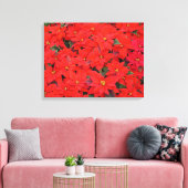 Red Poinsettias I Kerstfeestdag Floral Foto Canvas Afdruk (Insitu (Woonkamer))
