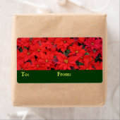 Red Poinsettias I Kerstfeestdag Floral Foto Etiket (Insitu)