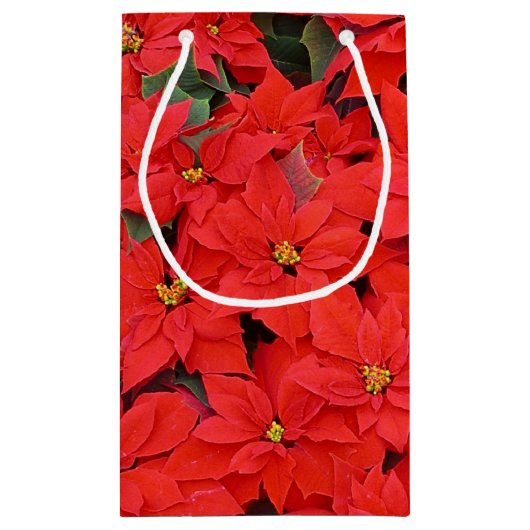 Red Poinsettias I Kerstfeestdag Floral Foto Klein Cadeauzakje (Achterkant)