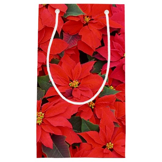 Red Poinsettias I Kerstfeestdag Floral Foto Klein Cadeauzakje (Voorkant)