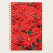 Red Poinsettias I Kerstfeestdag Floral Foto Planner (Voorkant)