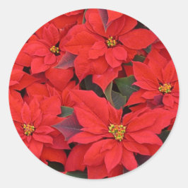 Red Poinsettias I Kerstfeestdag Floral Foto Ronde Sticker