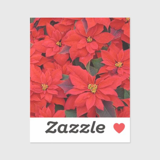 Red Poinsettias I Kerstfeestdag Floral Foto Sticker (Vel)
