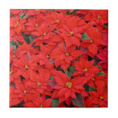 Red Poinsettias I Kerstfeestdag Floral Foto Tegeltje (Voorkant)