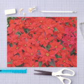 Red Poinsettias I Kerstfeestdag Floral Foto Tissuepapier (Craft)
