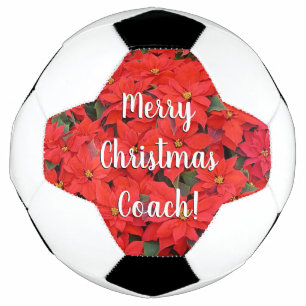 Red Poinsettias I Kerstfeestdag Floral Foto Voetbal