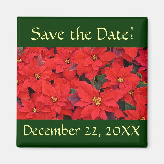 Red Poinsettias I Save the Date Magnet (Voorkant)