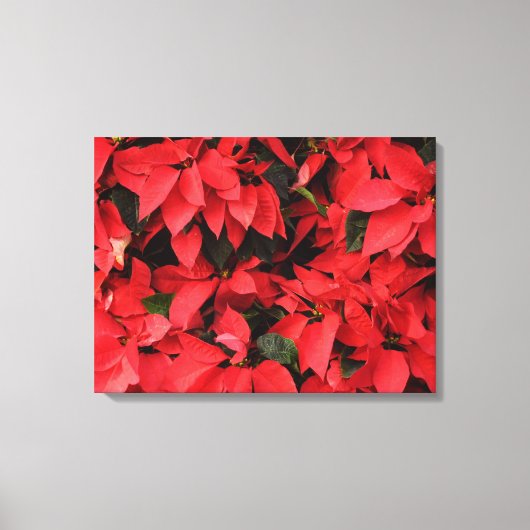 Red Poinsettias II Kerstfeestdag Floral Canvas Afdruk (Voorkant)