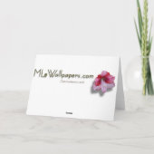 Red Poinsettias II Kerstfeestdag Floral Feestdagen Kaart (Achterkant)