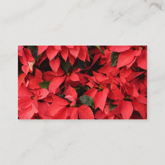 Red Poinsettias II Kerstfeestdag Floral Visitekaartje (Achterkant)