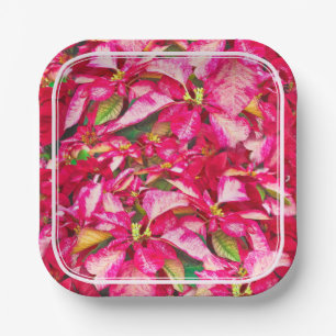 Red Poinsettias KerstFloral Fotografie Papieren Bordje