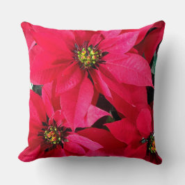 Red Poinsettias Kussen