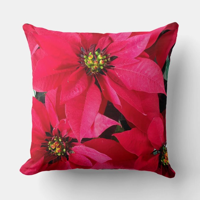 Red Poinsettias Kussen (Voorkant)