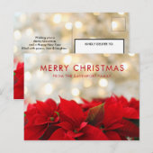 Red Poinsettias met Golden Bokeh Kerstmis Briefkaart (Voorkant / Achterkant)