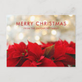 Red Poinsettias met Golden Bokeh Kerstmis Briefkaart (Voorkant)
