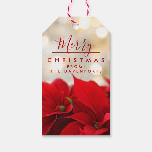 Red Poinsettias met Golden Bokeh Kerstmis Cadeaulabel (Voorkant)