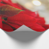 Red Poinsettias met Golden Bokeh Kerstmis Cadeaupapier (Hoek)