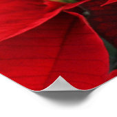 Red Poinsettias met Golden Bokeh Kerstmis Poster (Hoek)