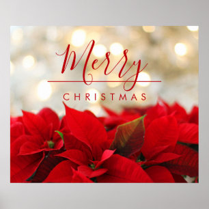 Red Poinsettias met Golden Bokeh Kerstmis Poster