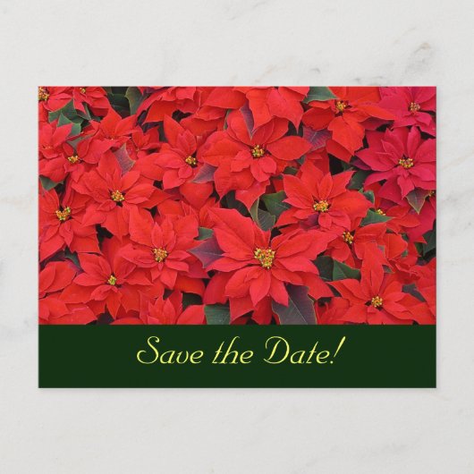 Red Poinsettias Sparen het Briefkaart van de Datum (Voorkant)