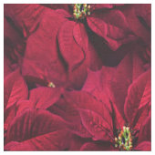 Red Poinsettias Stof (Close Up)