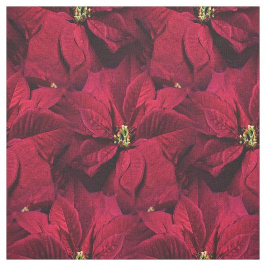 Red Poinsettias Stof (Swatch)