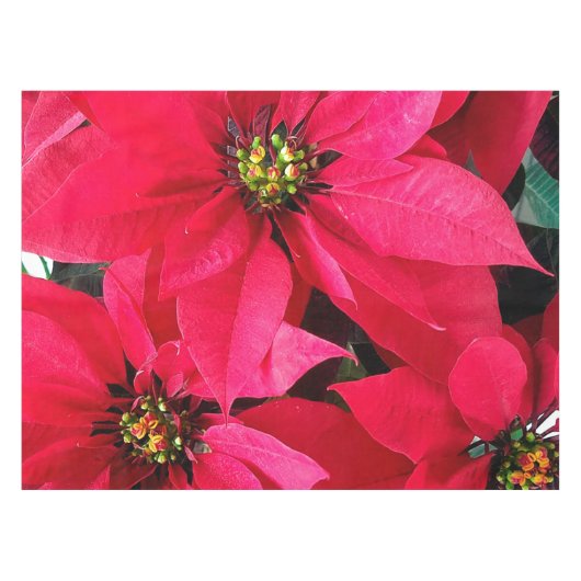 Red Poinsettias Tafelkleed (Voorkant (Horizontaal))