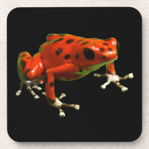 Red Poison Dart Frog Bier Onderzetter