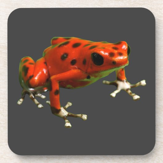 Red Poison Dart Frog Bier Onderzetter (Voorkant)