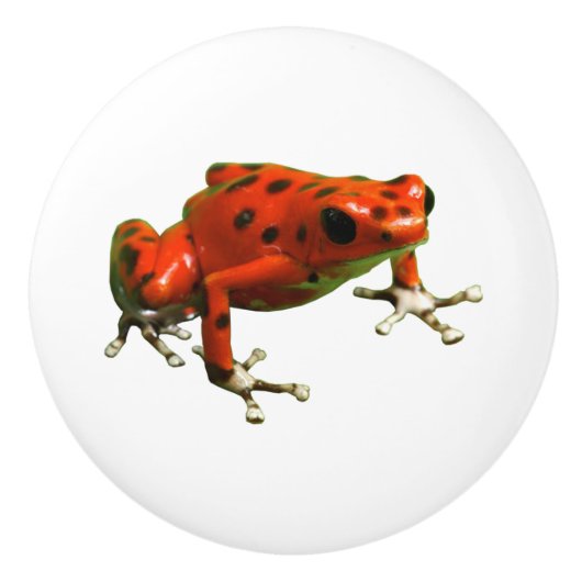 Red Poison Dart Frog Keramische Knop (Voorkant)
