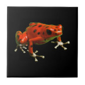 Red Poison Dart Frog Tegeltje (Voorkant)