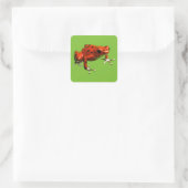 Red Poison Dart Frog Vierkante Sticker (Tas)