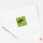 Red Poison Dart Frog Vierkante Sticker (Envelop)