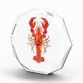 Red polygonal lobster fotoblokken (Rechts)