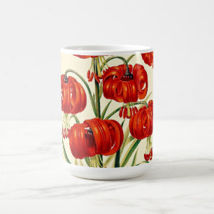 Red Pompone Lily  Illustratie Koffiemok
