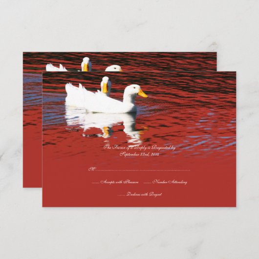 Red Pop Art Pekin Ducks Wedding Invitation RSVP (Voorkant / Achterkant)