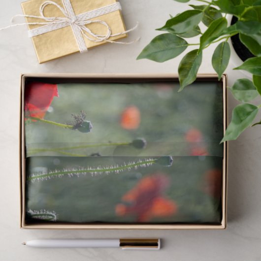 Red Poppie Field-ontkoppeling Tissuepapier (Geschenk)