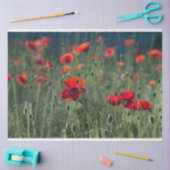 Red Poppie Field-ontkoppeling Tissuepapier (Craft)
