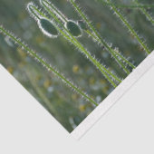 Red Poppie Field-ontkoppeling Tissuepapier (Detail)