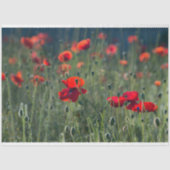 Red Poppie Field-ontkoppeling Tissuepapier (Voorkant)