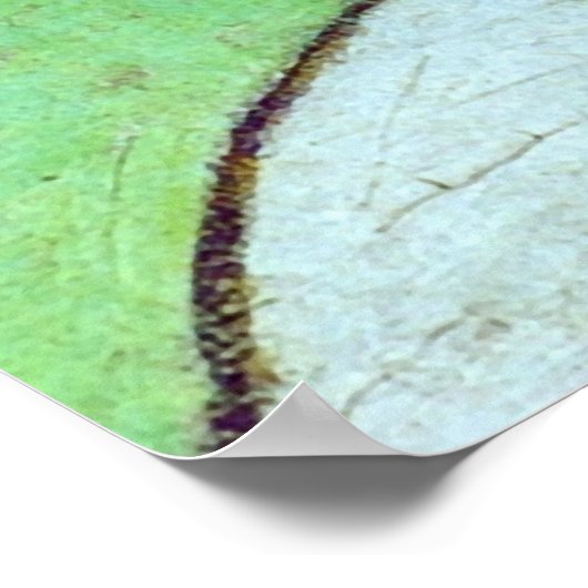 Red Poppies & Daisies (F280) Van Gogh Fine Art Poster (Hoek)