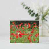 Red Poppies Field DIY Briefkaart (Staand voorkant)
