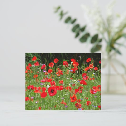 Red Poppies Field DIY Briefkaart (Staand voorkant)
