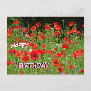 Red Poppies Field Happy Birthday Briefkaart