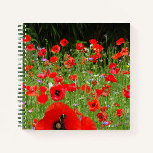 Red Poppies Field-laptop Notitieboek
