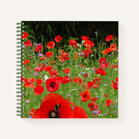 Red Poppies Field-laptop Notitieboek (Voorkant)