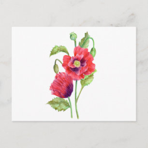 Red Poppies Floral Art Briefkaart